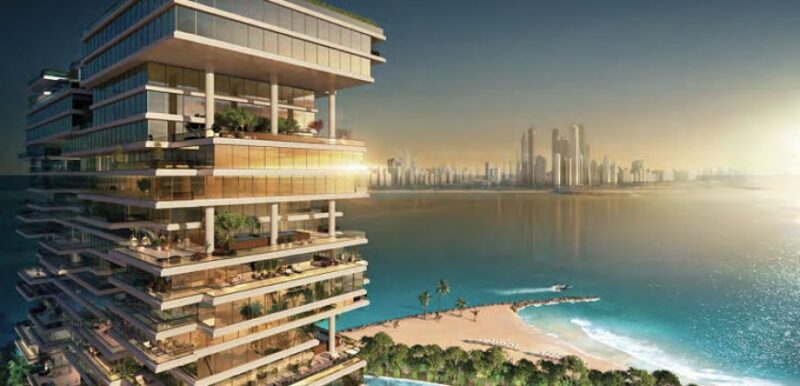 one palm dubai