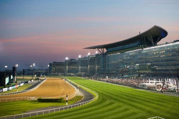 meydan horse track